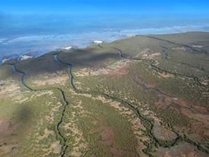 Aerial view of Coastal wetlands in South Australia