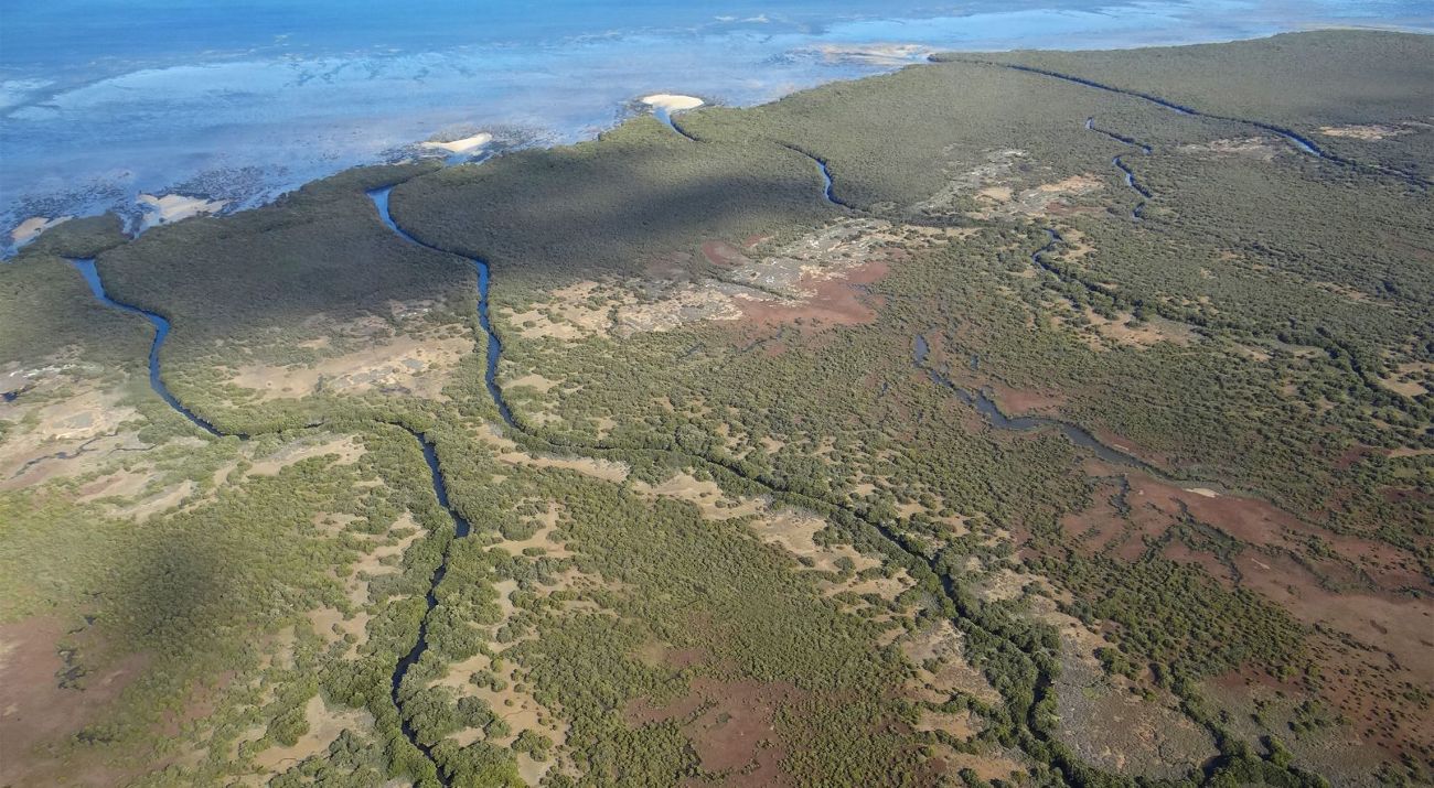SA coastal wetlands