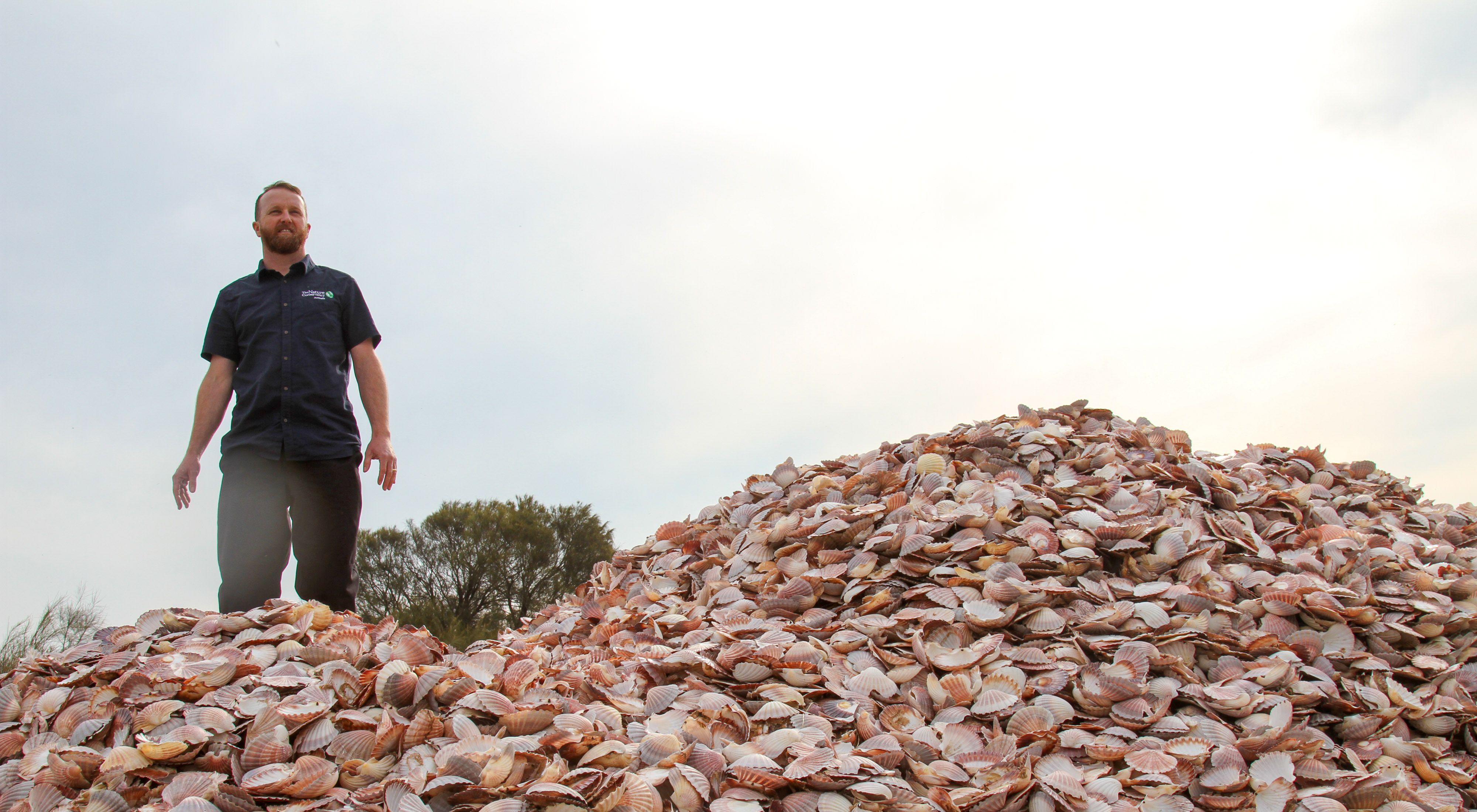Shuck Don't Chuck: shell recycling project