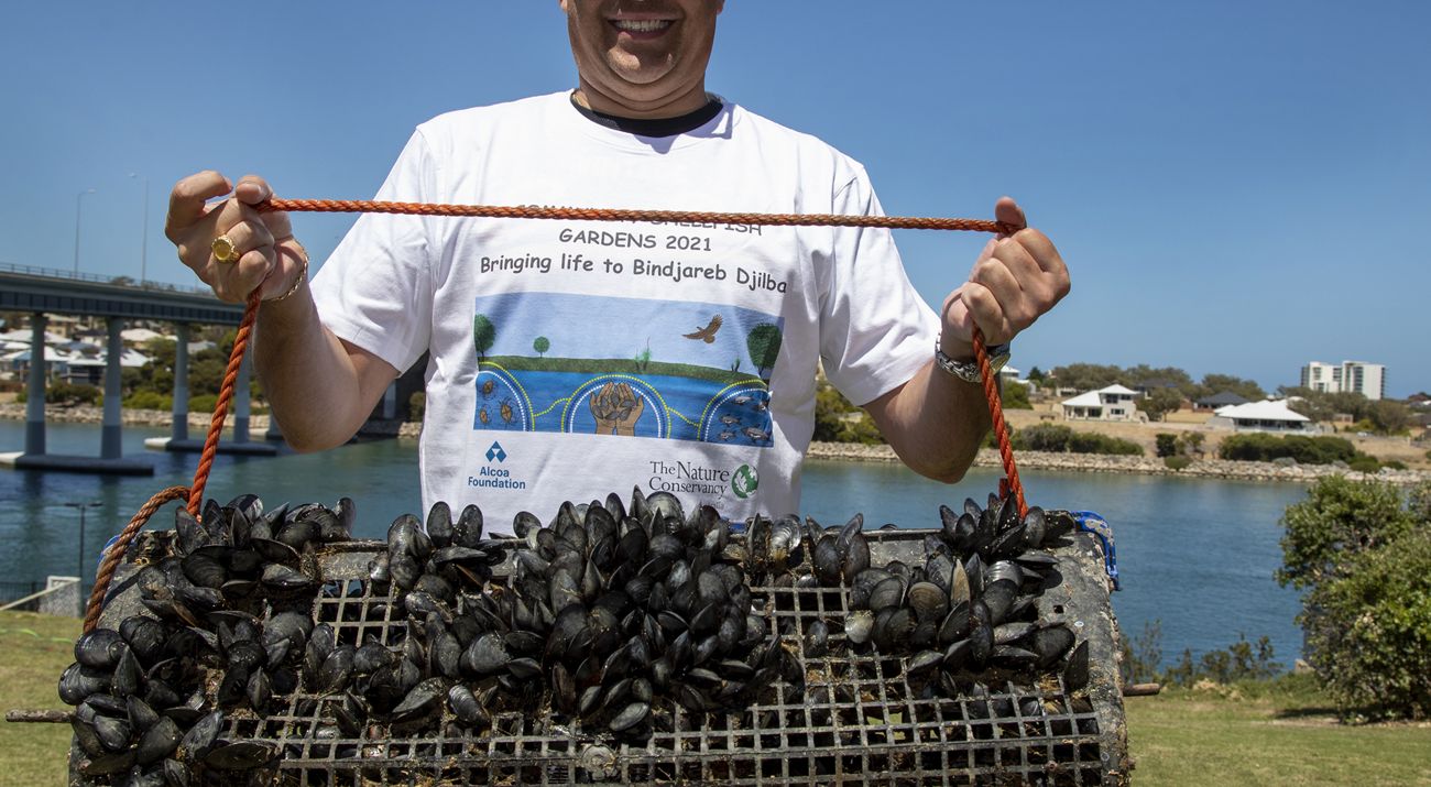 Shellfish gardener