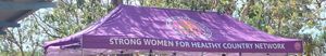 A banner reading Strong Women for Healthy Country Network