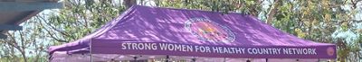 A banner reading Strong Women for Healthy Country Network