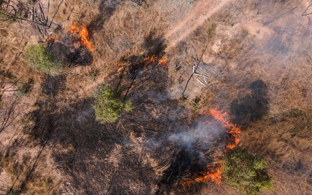 aerial view of a small controlled burn.