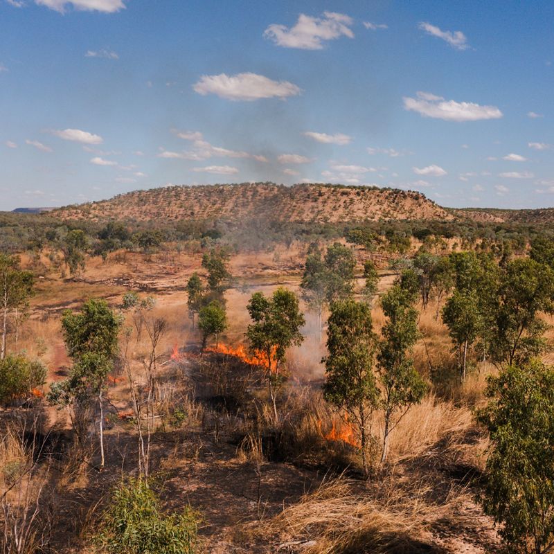 a controlled burn in an arid landscape.