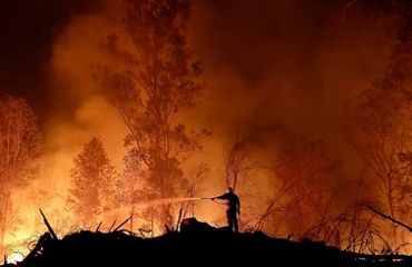 Man fighting bushfire
