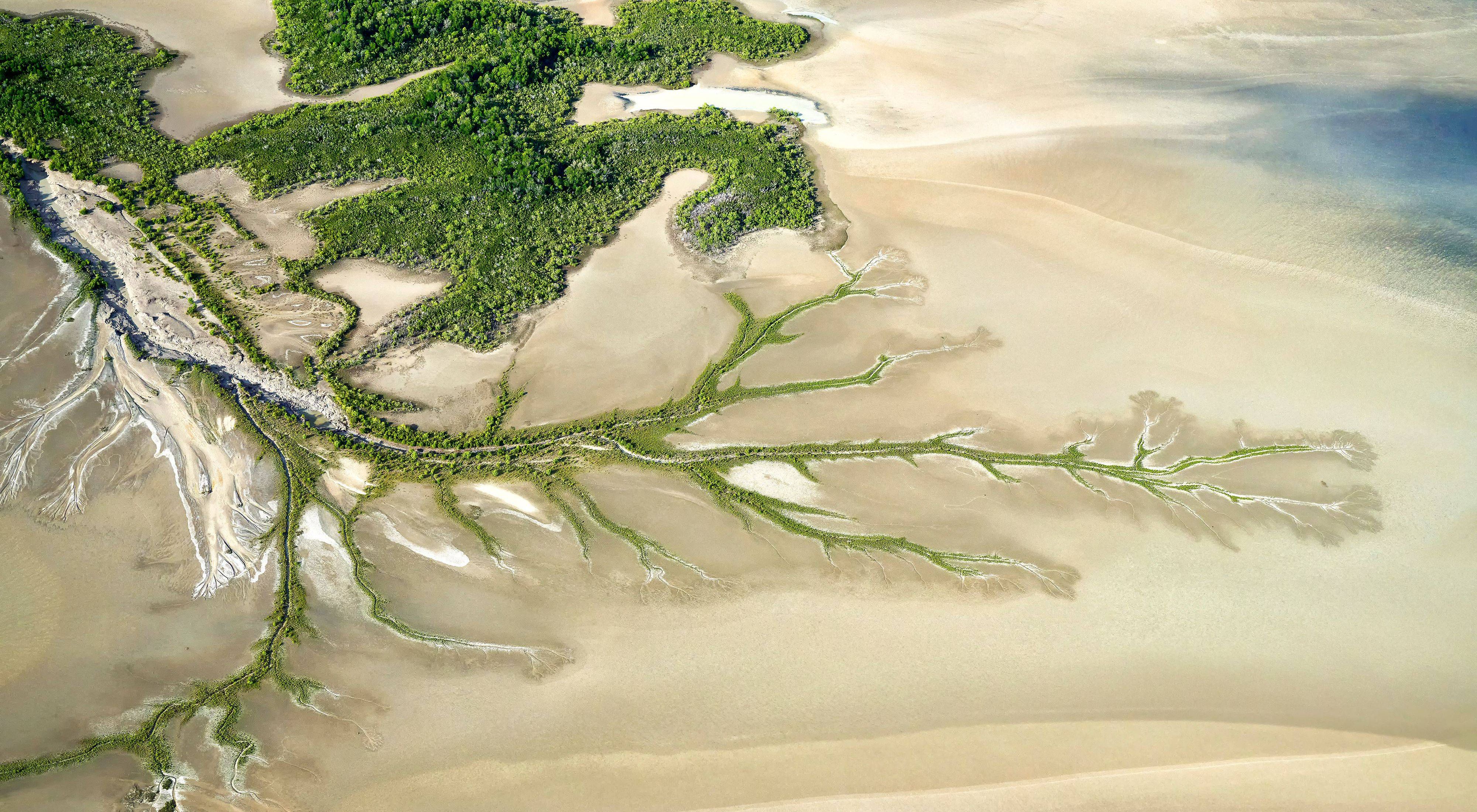 Tidal creek 3. Aerial view taken from a helicopter of tidal creeks in the Northern Territory.