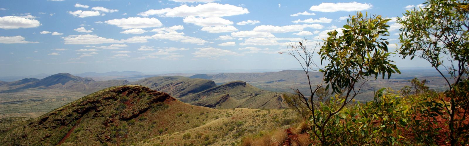 Become a Conservation Champion