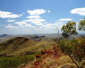 Conservation by Design