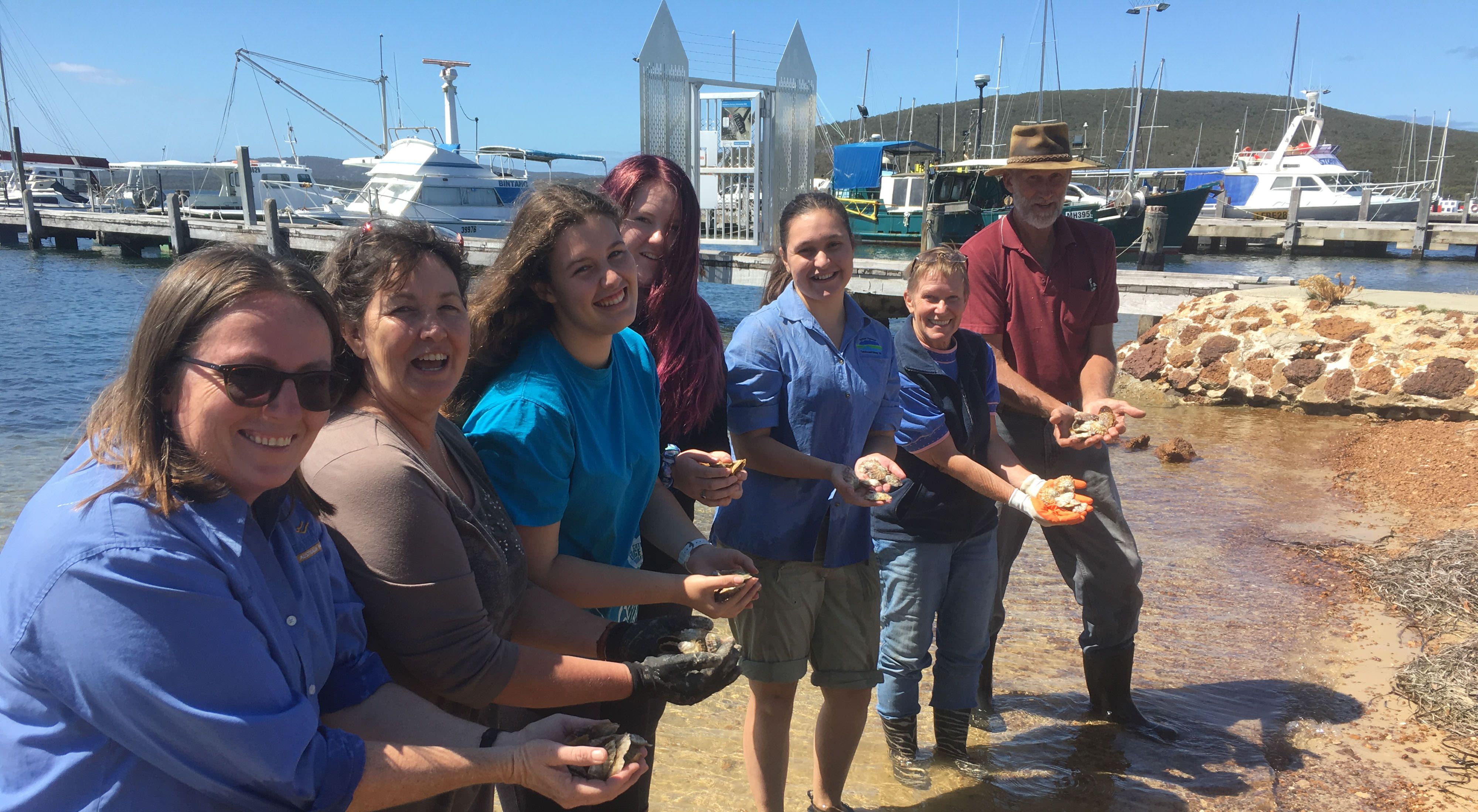 with newly cleaned oysters in preparation for a new shellfish reef at Albany, Western Australia