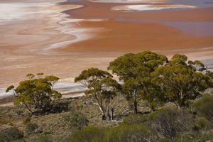 A mineral stained salt bed in The Great Western Woodlands of Western Australia