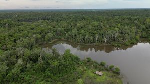 An aerial view of forest and a lagoon in Papua New Guinea.