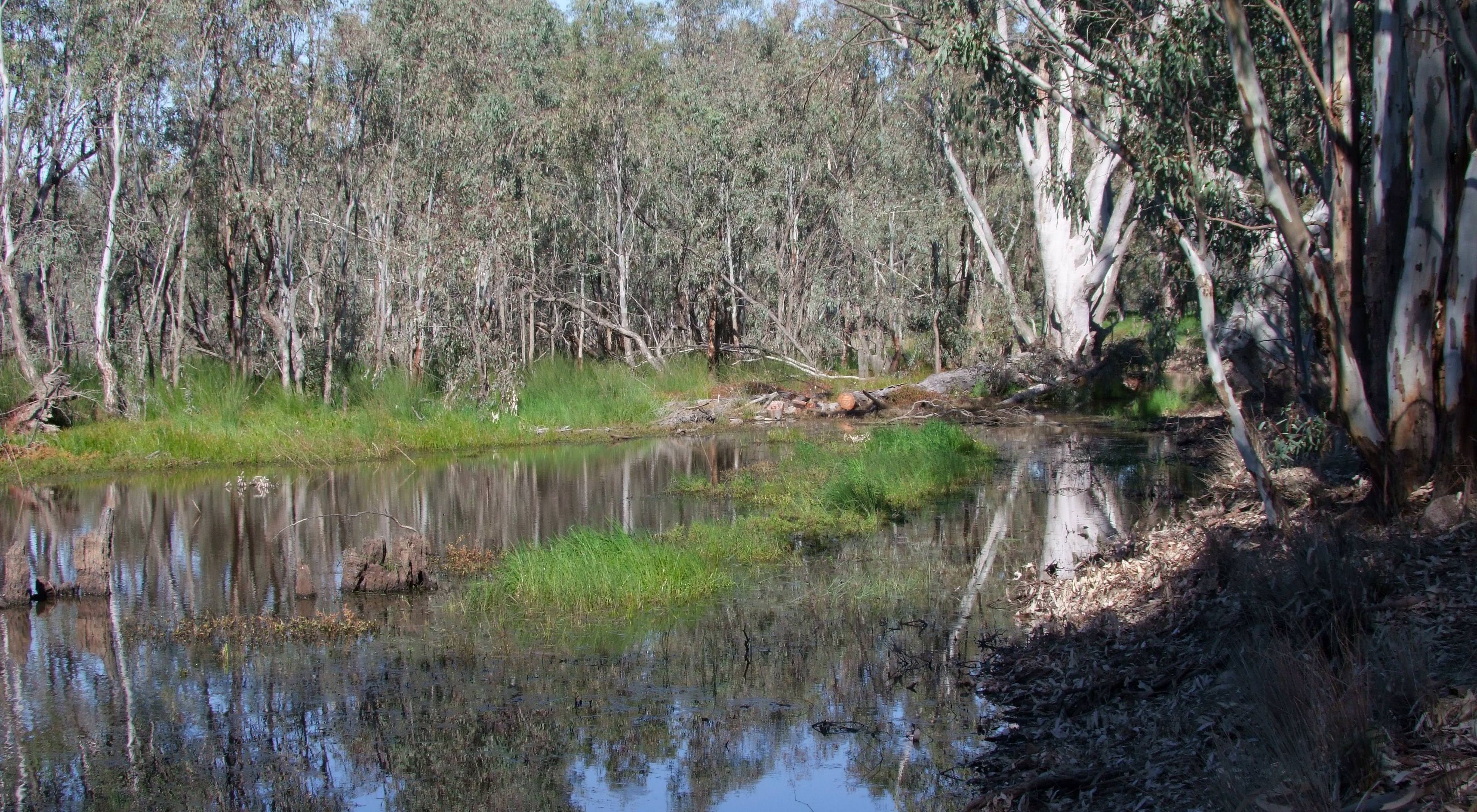 where TNC had a purposeful flooding supported by the Murray-Darling Basin Balanced Water Fund