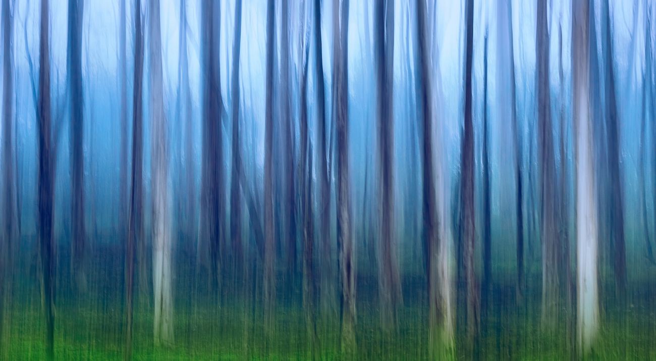 Adelaide hills