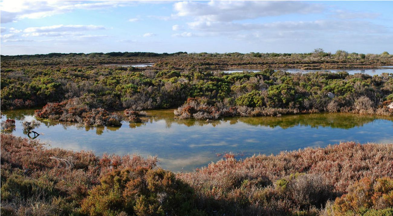 Adelaide International Bird Sanctuary National Park
