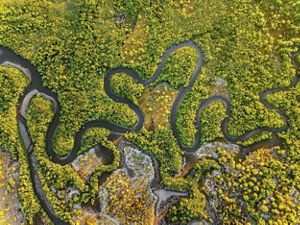 An aerial view of the curves and turns of Alligator Creek, Queensland