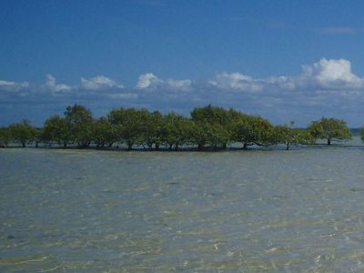 little sands Moreton Bay
