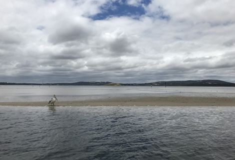 Oyster Harbour, Western Australia