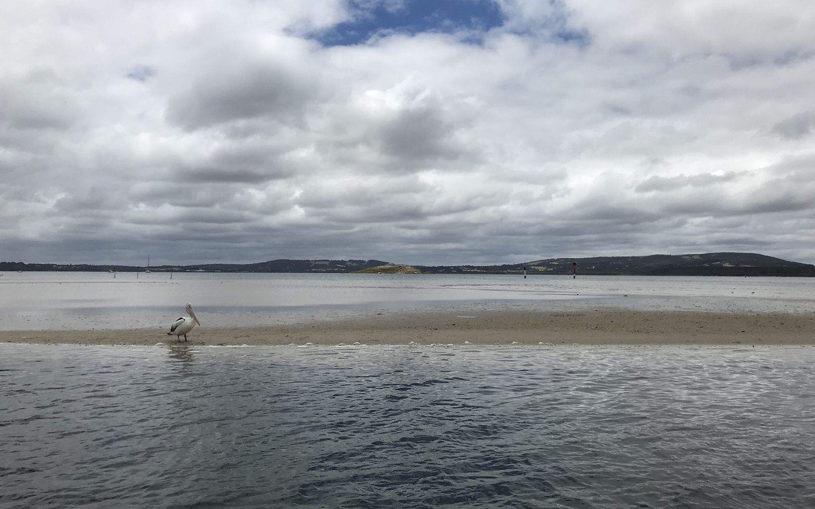  on a sandy spit exposed by low tide in Oyster Harbour, Albany 