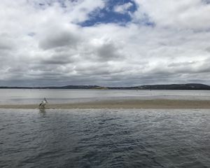 Oyster Harbour, Western Australia