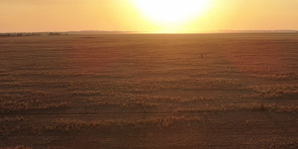 An aerial view depicting the expanse of grasslands at Patho Plains, Victoria Australia
