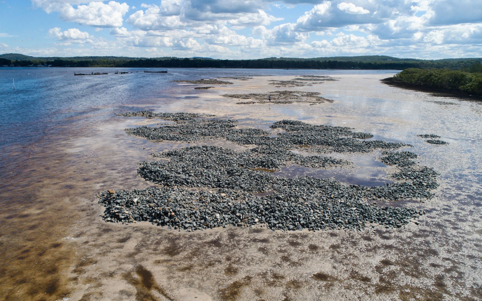 Intertidal shellfish reef  Intertidal shellfish reef bases at the Myall River mouth © Kirk Dahle