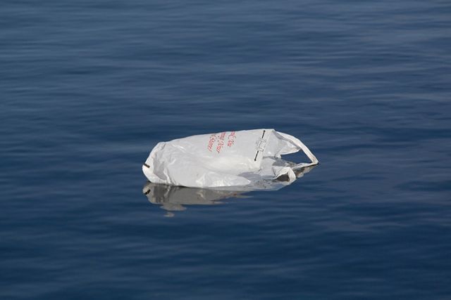 Una bolsa plástica flotando en el océano