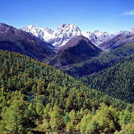 Yunnan Province