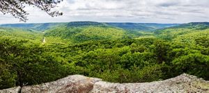 Cumberland Plateau The Nature Conservancy In Tennessee   Bald Point Tennessee 