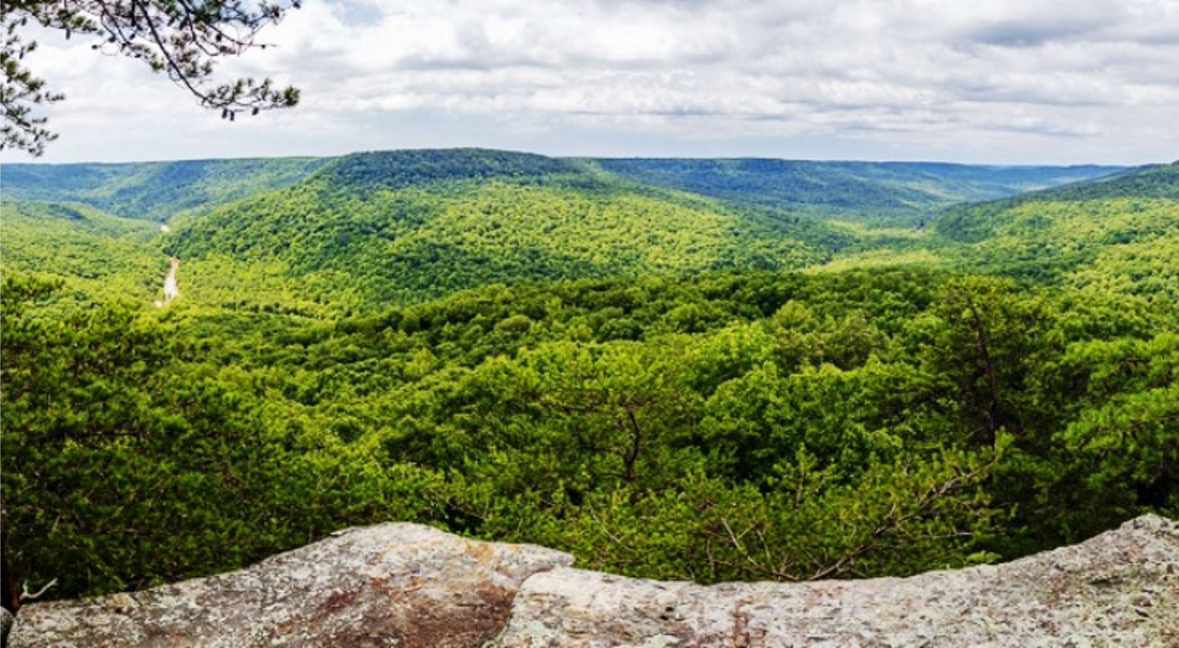 A rock outcrop looks out on a dense, green forested valley.