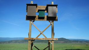Two large bat boxes on a posts in wetland field.