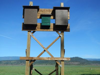 Two large bat boxes on a posts in wetland field.