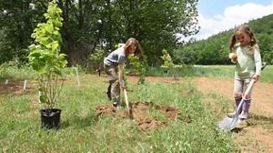 Two young girls planting trees.