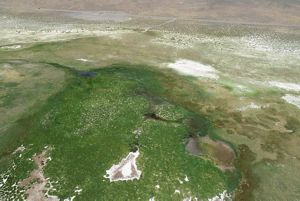 Aerial view of a large green area with a body of water within a vast dry desert.
