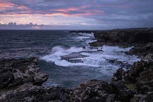 Foto de Animal Flower Bay en Barbados.