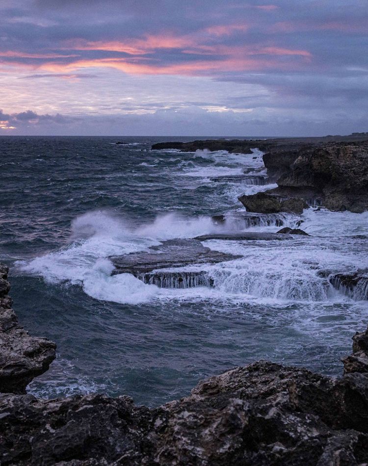 Photo of Animal Flower Bay in Barbados.