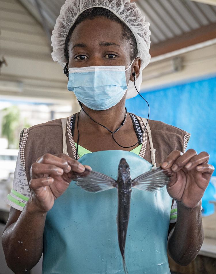 Photo of a woman wearing an apron holding a fish.
