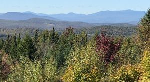 A broad landscape view of tree-covered hills.