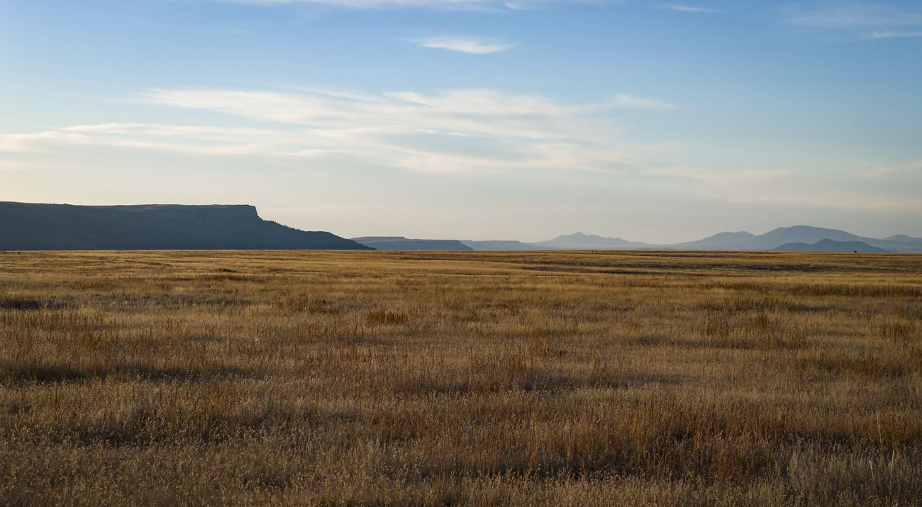 Landscape of a grassy field with a mountain in the distance.