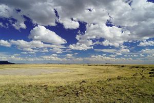 Grassland as far as the eye can see with a blue ombre sky and big fluffy white clouds.