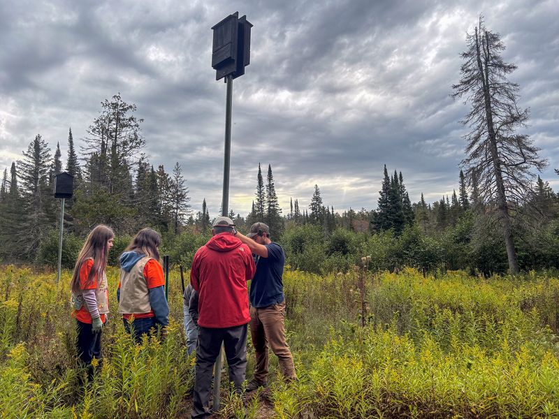 TNC partners and volunteers installing bat houses at Mcmahon Lake Preserve.