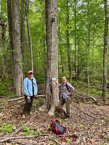 Two people stand on either side of a tall tree. Attached to the tree is a tall pole with a square device at the top. A red backpack is in the foreground.
