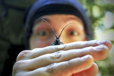 an insect with large antennas on the hand of a man with his face in the background, the antennas framed around his eyes.