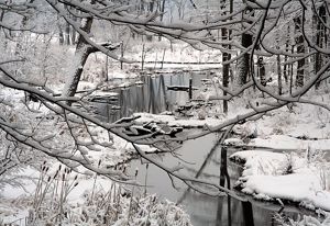 Snow blankets the trees and shoreline around Otter Creek at Baxter's Hollow in Wisconsin's Baraboo Hills.