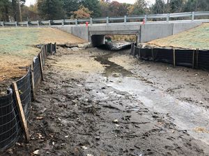 A trickle of water flows through a large culvert under a road.