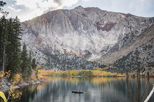 A lone woman and her dogs paddle under the yellow birch trees and a towering metamorphic mountainside in the Eastern Sierras.