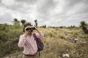 A woman with binoculars stands in waist-high grass in a scrubby landscape.