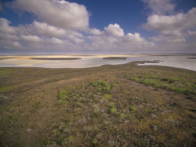 Sprawling scrubland and palms meet sandy beaches at the ocean's edge.