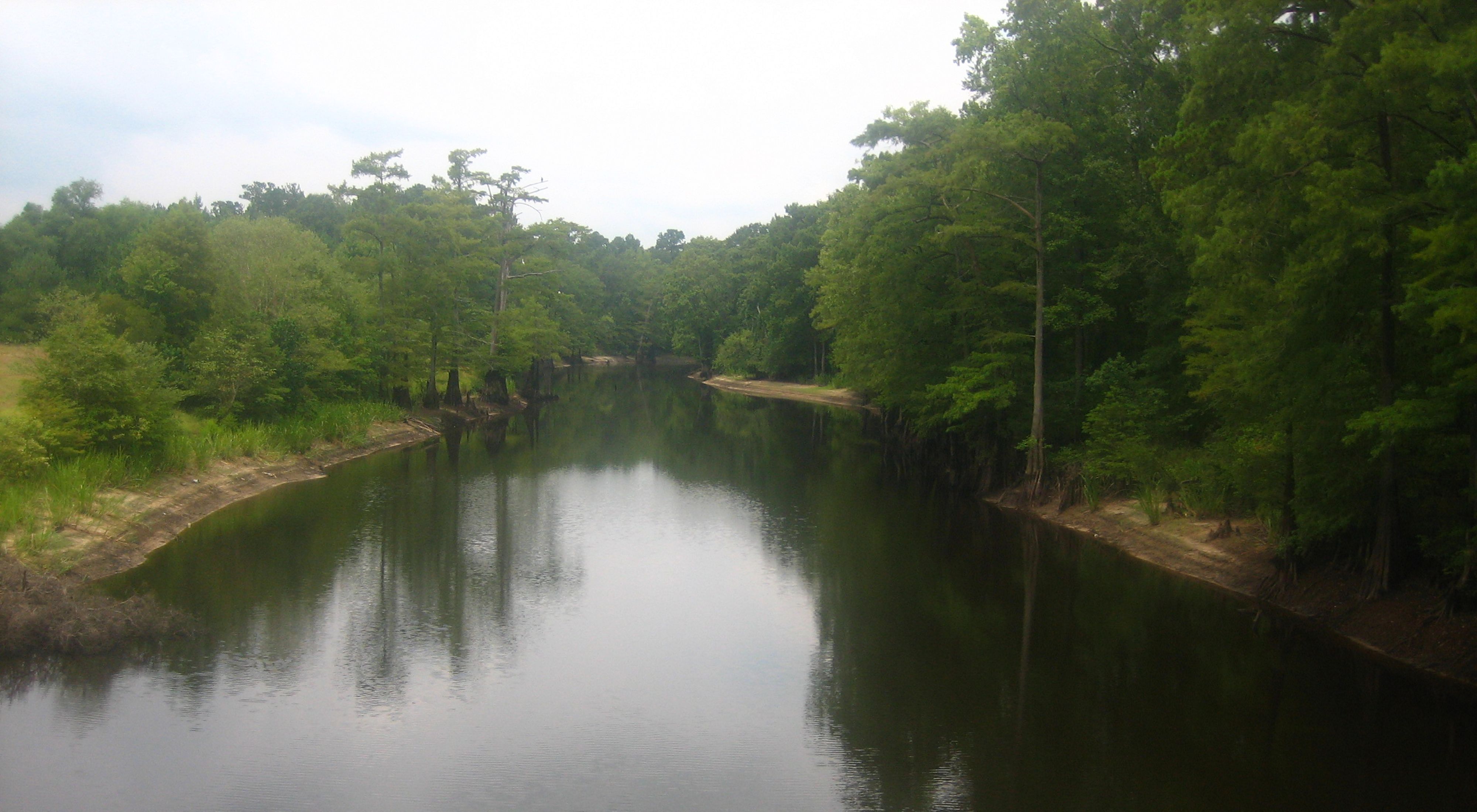 The calm waters of Bayou Dorcheat.