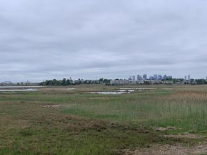 Belle Isle Marsh in the foreground, with Boston Logan Airport and the Boston skyline in the background.