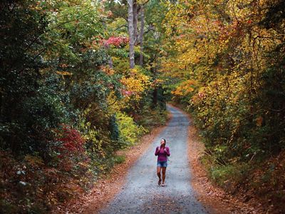 Hiker walking through forest during the fall.
